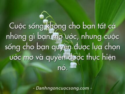 Cuộc sống không cho bạn tất cả những gì bạn mơ ước, nhưng cuộc sống cho bạn quyền được lựa chọn ước mơ và quyền được thực hiện nó.