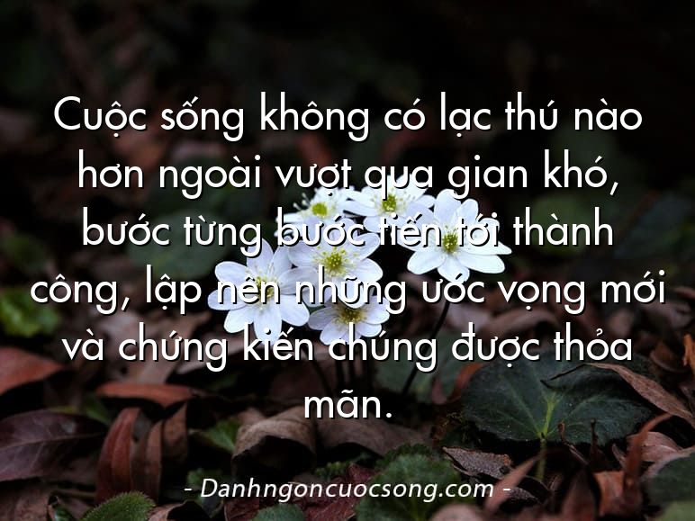 Cuộc sống không có lạc thú nào hơn ngoài vượt qua gian khó, bước từng bước tiến tới thành công, lập nên những ước vọng mới và chứng kiến chúng được thỏa mãn.