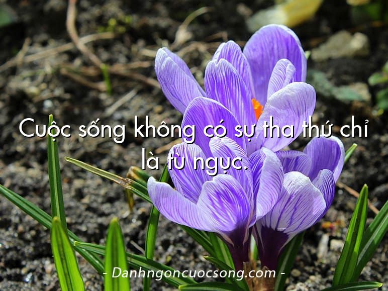 Cuộc sống không có sự tha thứ chỉ là tù ngục.