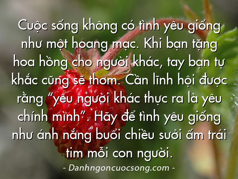 Cuộc sống không có tình yêu giống như một hoang mạc. Khi bạn tặng hoa hồng cho người khác, tay bạn tự khắc cũng sẽ thơm. Cần lĩnh hội được rằng “yêu người khác thực ra là yêu chính mình”. Hãy để tình yêu giống như ánh nắng buổi chiều sưởi ấm trái tim mỗi con người.