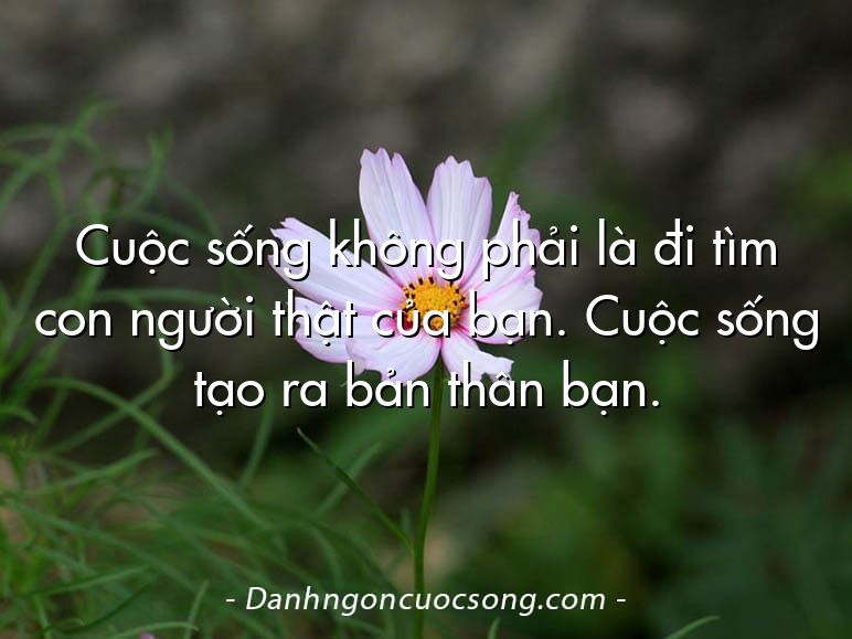 Cuộc sống không phải là đi tìm con người thật của bạn. Cuộc sống tạo ra bản thân bạn.
