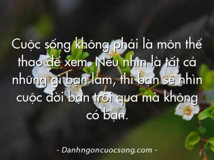 Cuộc sống không phải là môn thể thao để xem. Nếu nhìn là tất cả những gì bạn làm, thì bạn sẽ nhìn cuộc đời bạn trôi qua mà không có bạn.