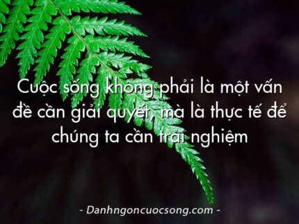Cuộc sống không phải là một vấn đề cần giải quyết, mà là thực tế để chúng ta cần trải nghiệm