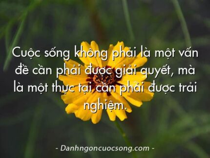 Cuộc sống không phải là một vấn đề cần phải được giải quyết, mà là một thực tại cần phải được trải nghiệm.