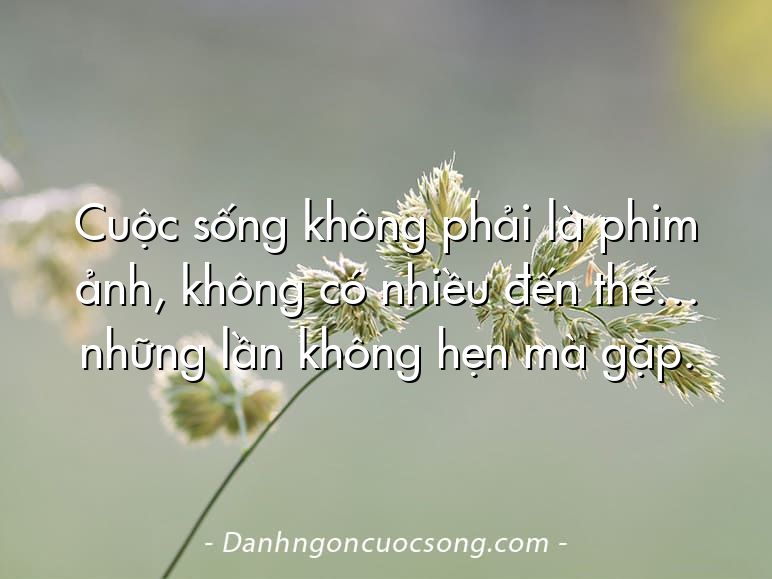 Cuộc sống không phải là phim ảnh, không có nhiều đến thế… những lần không hẹn mà gặp.
