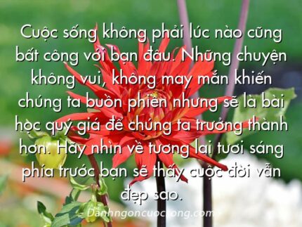 Cuộc sống không phải lúc nào cũng bất công với bạn đâu. Những chuyện không vui, không may mắn khiến chúng ta buồn phiền nhưng sẽ là bài học quý giá để chúng ta trưởng thành hơn. Hãy nhìn về tương lai tươi sáng phía trước bạn sẽ thấy cuộc đời vẫn đẹp sao.
