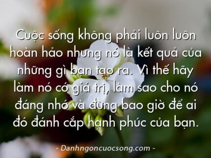 Cuộc sống không phải luôn luôn hoàn hảo nhưng nó là kết quả của những gì bạn tạo ra. Vì thế hãy làm nó có giá trị, làm sao cho nó đáng nhớ và đừng bao giờ để ai đó đánh cắp hạnh phúc của bạn.