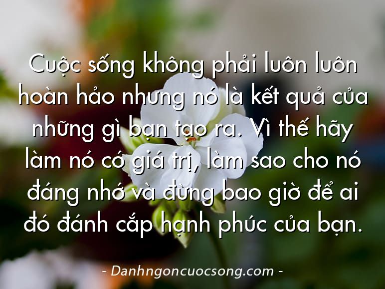 Cuộc sống không phải luôn luôn hoàn hảo nhưng nó là kết quả của những gì bạn tạo ra. Vì thế hãy làm nó có giá trị, làm sao cho nó đáng nhớ và đừng bao giờ để ai đó đánh cắp hạnh phúc của bạn.