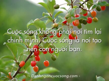 Cuộc sống không phải nơi tìm lại chính mình. Cuộc sống là nơi tạo nên con người bạn.
