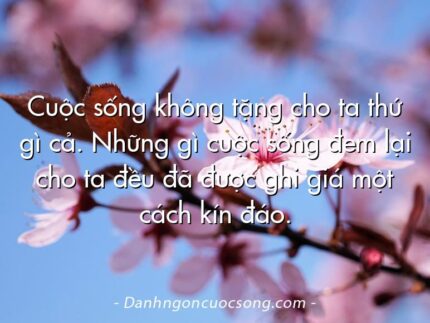 Cuộc sống không tặng cho ta thứ gì cả. Những gì cuộc sống đem lại cho ta đều đã được ghi giá một cách kín đáo.