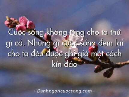 Cuộc sống không tặng cho ta thứ gì cả. Những gì cuộc sống đem lại cho ta đều được ghi giá một cách kín đáo