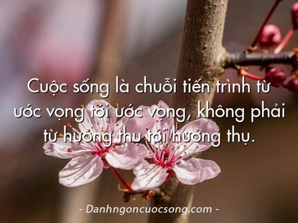 Cuộc sống là chuỗi tiến trình từ ước vọng tới ước vọng, không phải từ hưởng thụ tới hưởng thụ.