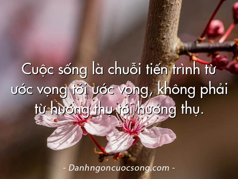 Cuộc sống là chuỗi tiến trình từ ước vọng tới ước vọng, không phải từ hưởng thụ tới hưởng thụ.