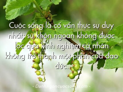 Cuộc sống là cố vấn thực sự duy nhất; sự khôn ngoan không được lọc qua kinh nghiệm cá nhân không trở thành một phần của đạo đức.