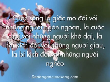 Cuộc sống là giấc mơ đối với những người ngôn ngoan, là cuộc chơi với những người khờ dại, là hài kịch đối với những người giàu, là bi kịch đối với những người nghèo