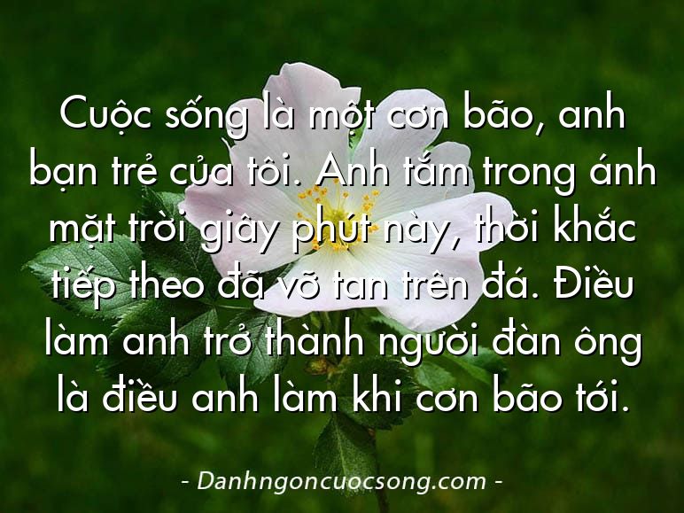Cuộc sống là một cơn bão, anh bạn trẻ của tôi. Anh tắm trong ánh mặt trời giây phút này, thời khắc tiếp theo đã vỡ tan trên đá. Điều làm anh trở thành người đàn ông là điều anh làm khi cơn bão tới.