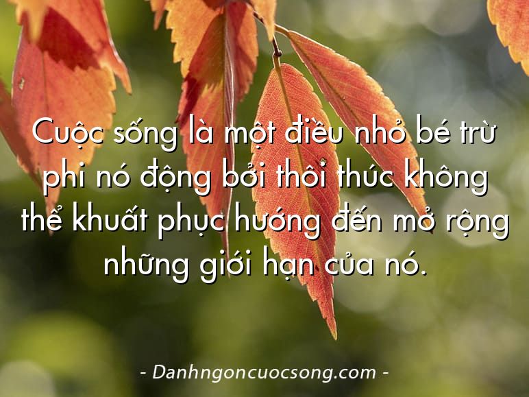 Cuộc sống là một điều nhỏ bé trừ phi nó động bởi thôi thúc không thể khuất phục hướng đến mở rộng những giới hạn của nó.