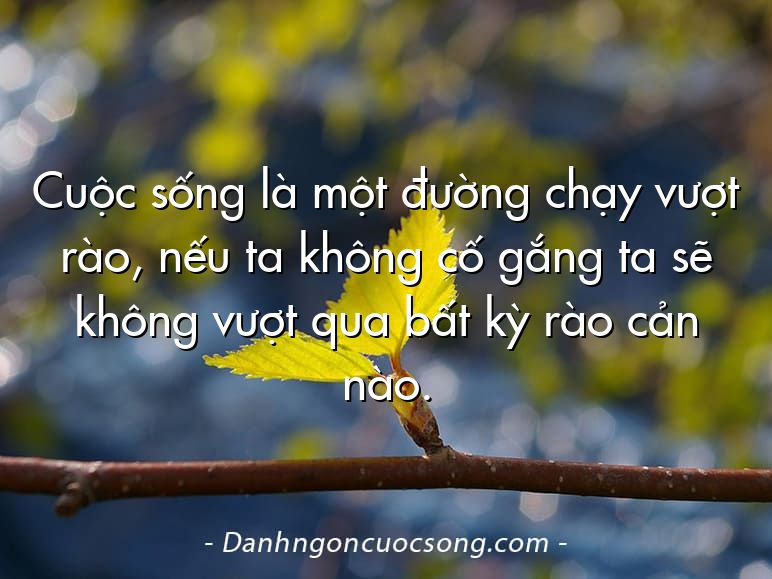 Cuộc sống là một đường chạy vượt rào, nếu ta không cố gắng ta sẽ không vượt qua bất kỳ rào cản nào.