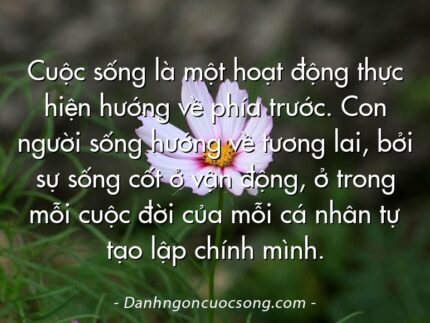 Cuộc sống là một hoạt động thực hiện hướng về phía trước. Con người sống hướng về tương lai, bởi sự sống cốt ở vận động, ở trong mỗi cuộc đời của mỗi cá nhân tự tạo lập chính mình.