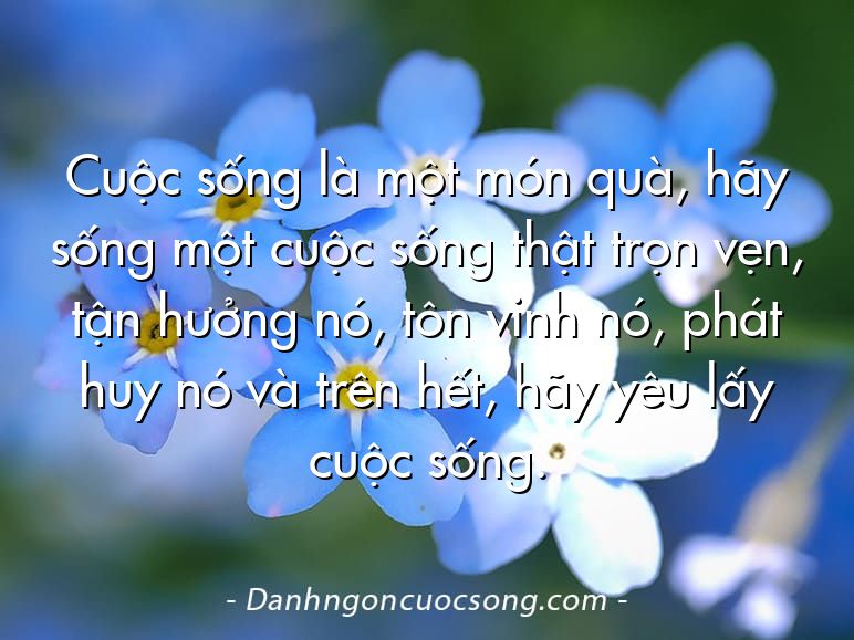 Cuộc sống là một món quà, hãy sống một cuộc sống thật trọn vẹn, tận hưởng nó, tôn vinh nó, phát huy nó và trên hết, hãy yêu lấy cuộc sống.