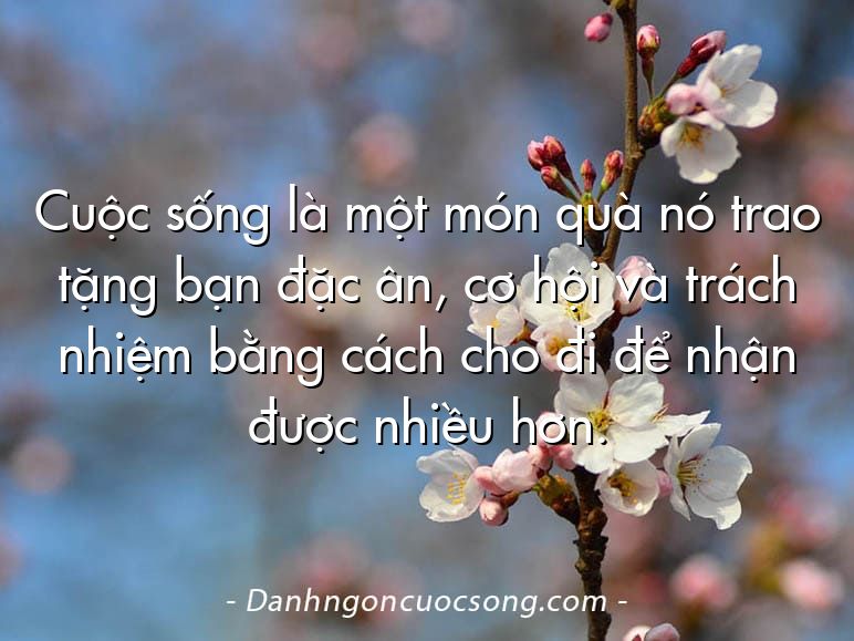 Cuộc sống là một món quà nó trao tặng bạn đặc ân, cơ hội và trách nhiệm bằng cách cho đi để nhận được nhiều hơn.
