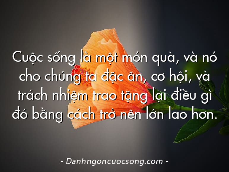 Cuộc sống là một món quà, và nó cho chúng ta đặc ân, cơ hội, và trách nhiệm trao tặng lại điều gì đó bằng cách trở nên lớn lao hơn.