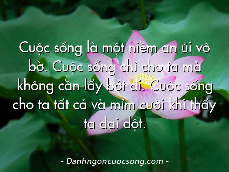 Cuộc sống là một niềm an ủi vô bờ. Cuộc sống chỉ cho ta mà không cần lấy bớt đi. Cuộc sống cho ta tất cả và mỉm cười khi thấy ta dại dột.