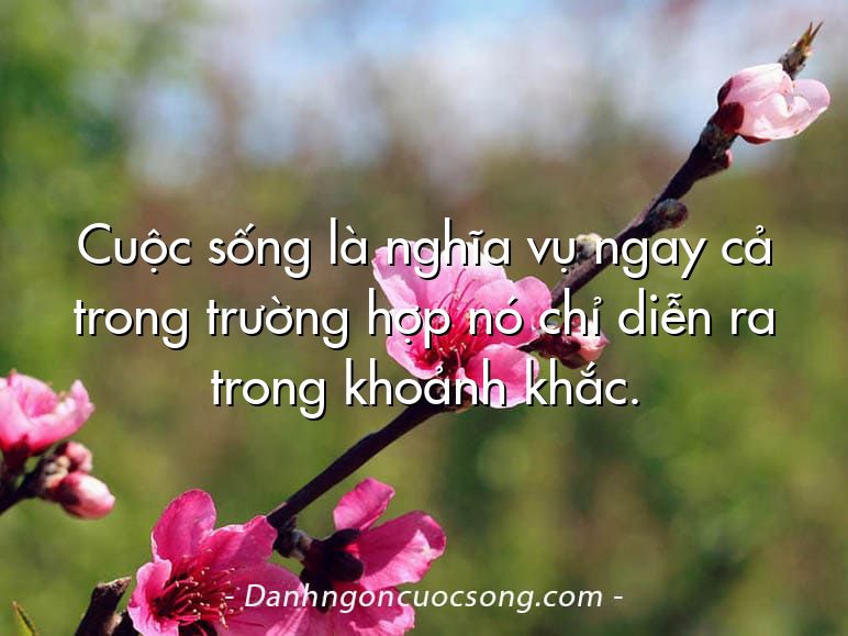 Cuộc sống là nghĩa vụ ngay cả trong trường hợp nó chỉ diễn ra trong khoảnh khắc.