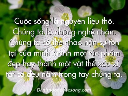 Cuộc sống là nguyên liệu thô. Chúng ta là những nghệ nhân. Chúng ta có thể nhào nặn sự tồn tại của mình thành một tác phẩm đẹp hay thành một vật thể xấu xí, tất cả đều nằm trong tay chúng ta.