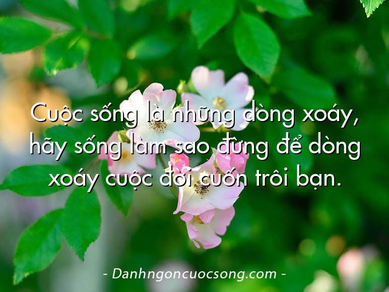 Cuộc sống là những dòng xoáy, hãy sống làm sao đừng để dòng xoáy cuộc đời cuốn trôi bạn.