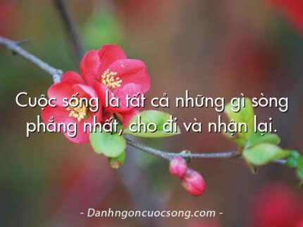 Cuộc sống là tất cả những gì sòng phẳng nhất, cho đi và nhận lại.