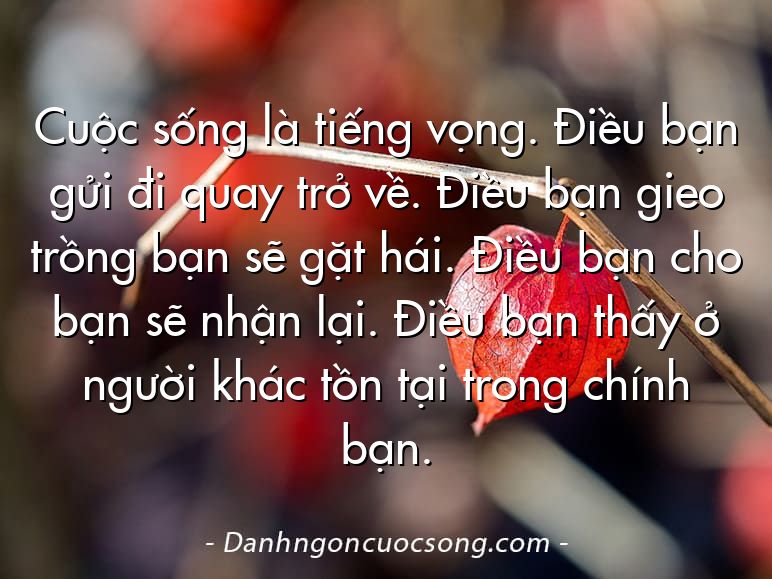 Cuộc sống là tiếng vọng. Điều bạn gửi đi quay trở về. Điều bạn gieo trồng bạn sẽ gặt hái. Điều bạn cho bạn sẽ nhận lại. Điều bạn thấy ở người khác tồn tại trong chính bạn.