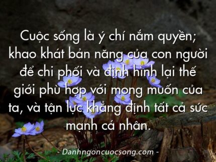 Cuộc sống là ý chí nắm quyền; khao khát bản năng của con người để chi phối và định hình lại thế giới phù hợp với mong muốn của ta, và tận lực khẳng định tất cả sức mạnh cá nhân.