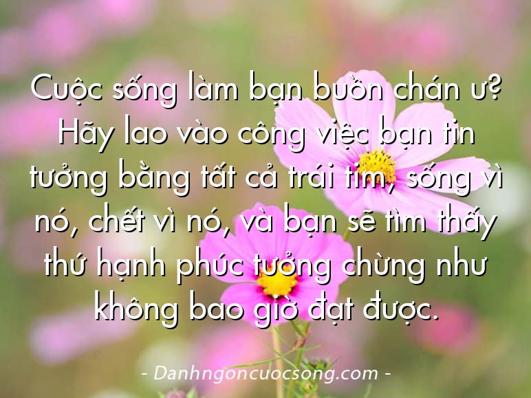 Cuộc sống làm bạn buồn chán ư? Hãy lao vào công việc bạn tin tưởng bằng tất cả trái tim, sống vì nó, chết vì nó, và bạn sẽ tìm thấy thứ hạnh phúc tưởng chừng như không bao giờ đạt được.