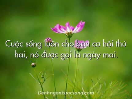 Cuộc sống luôn cho bạn cơ hội thứ hai, nó được gọi là ngày mai.