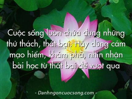 Cuộc sống luôn chứa đựng những thử thách, thất bại. Hãy dũng cảm mạo hiểm, khám phá, nhìn nhận bài học từ thất bại để vượt qua