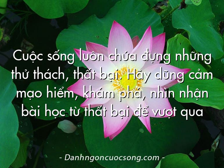 Cuộc sống luôn chứa đựng những thử thách, thất bại. Hãy dũng cảm mạo hiểm, khám phá, nhìn nhận bài học từ thất bại để vượt qua