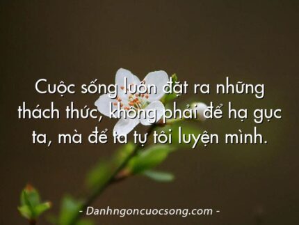 Cuộc sống luôn đặt ra những thách thức, không phải để hạ gục ta, mà để ta tự tôi luyện mình.  