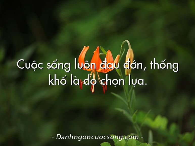 Cuộc sống luôn đau đớn, thống khổ là do chọn lựa.