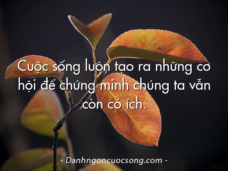 Cuộc sống luôn tạo ra những cơ hội để chứng minh chúng ta vẫn còn có ích.  