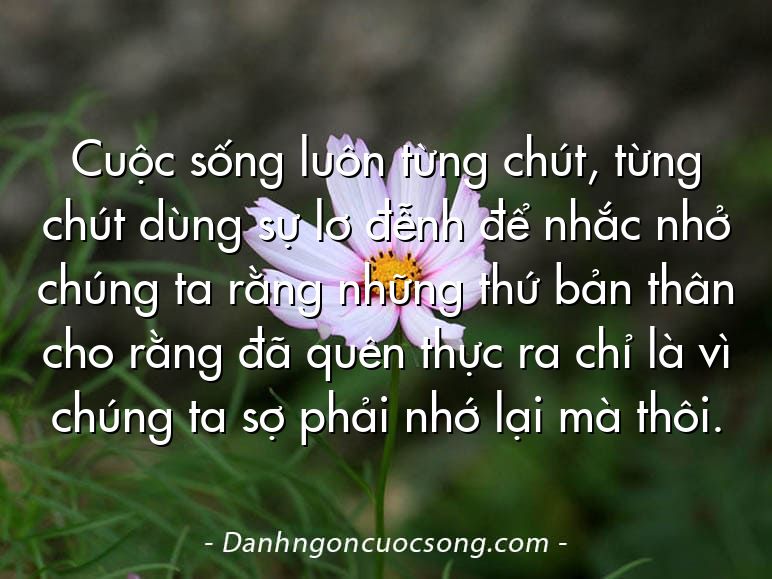 Cuộc sống luôn từng chút, từng chút dùng sự lơ đễnh để nhắc nhở chúng ta rằng những thứ bản thân cho rằng đã quên thực ra chỉ là vì chúng ta sợ phải nhớ lại mà thôi.
