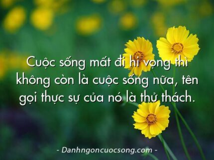 Cuộc sống mất đi hi vọng thì không còn là cuộc sống nữa, tên gọi thực sự của nó là thử thách.