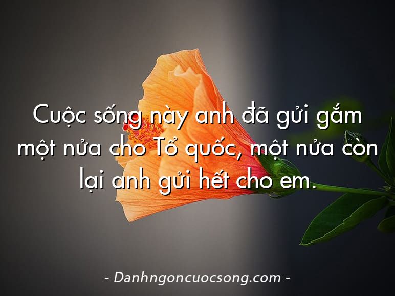 Cuộc sống này anh đã gửi gắm một nửa cho Tổ quốc, một nửa còn lại anh gửi hết cho em.