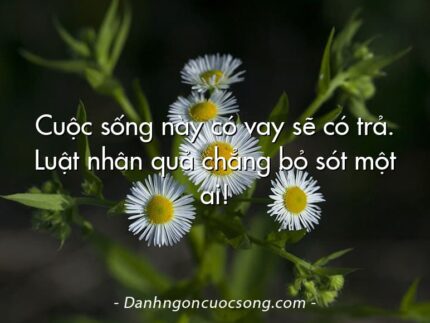 Cuộc sống này có vay sẽ có trả. Luật nhân quả chẳng bỏ sót một ai!