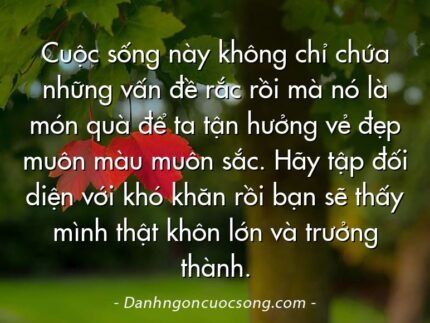 Cuộc sống này không chỉ chứa những vấn đề rắc rồi mà nó là món quà để ta tận hưởng vẻ đẹp muôn màu muôn sắc. Hãy tập đối diện với khó khăn rồi bạn sẽ thấy mình thật khôn lớn và trưởng thành.