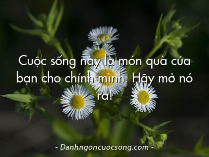 Cuộc sống này là món quà của bạn cho chính mình. Hãy mở nó ra!