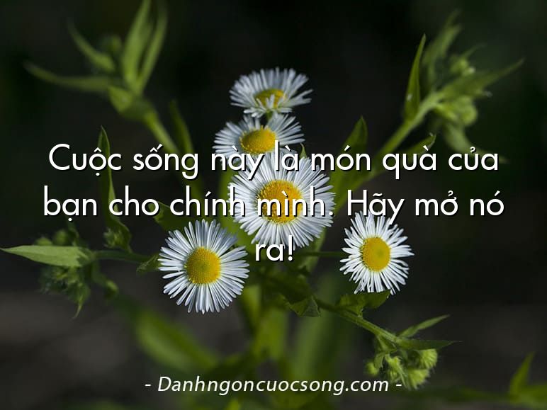 Cuộc sống này là món quà của bạn cho chính mình. Hãy mở nó ra!