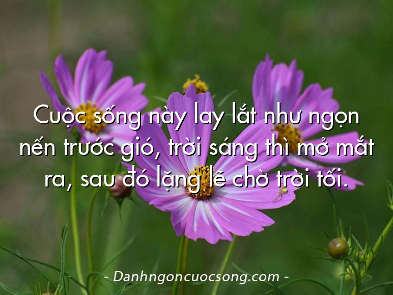 Cuộc sống này lay lắt như ngọn nến trước gió, trời sáng thì mở mắt ra, sau đó lặng lẽ chờ trời tối.