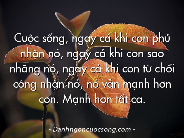 Cuộc sống, ngay cả khi con phủ nhận nó, ngay cả khi con sao nhãng nó, ngay cả khi con từ chối công nhận nó, nó vẫn mạnh hơn con. Mạnh hơn tất cả.