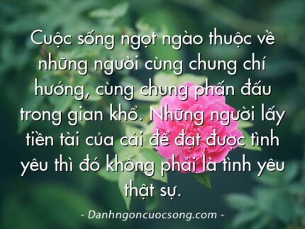 Cuộc sống ngọt ngào thuộc về những người cùng chung chí hướng, cùng chung phấn đấu trong gian khổ. Những người lấy tiền tài của cải để đạt được tình yêu thì đó không phải là tình yêu thật sự.